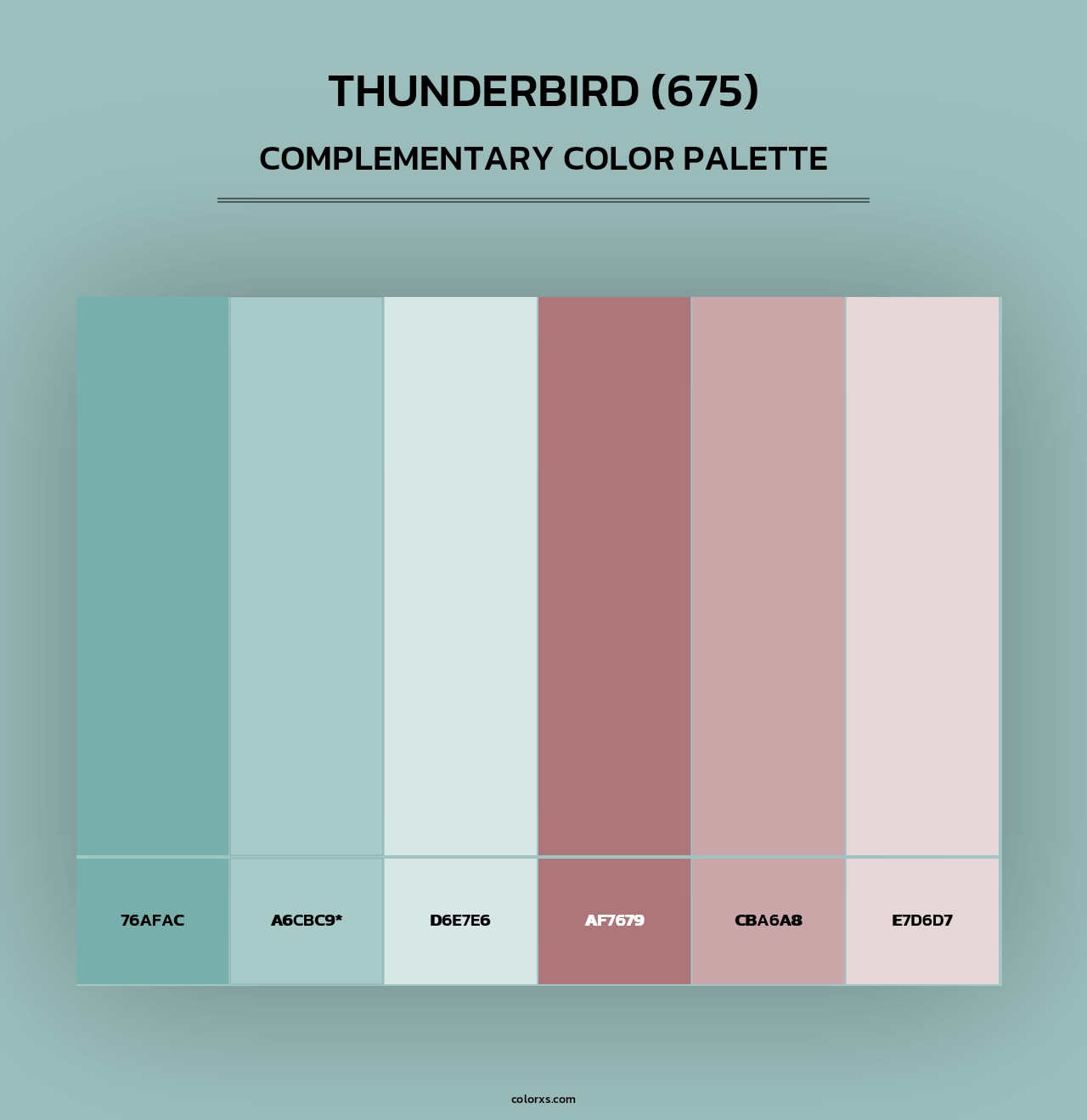 Thunderbird (675) - Complementary Color Palette