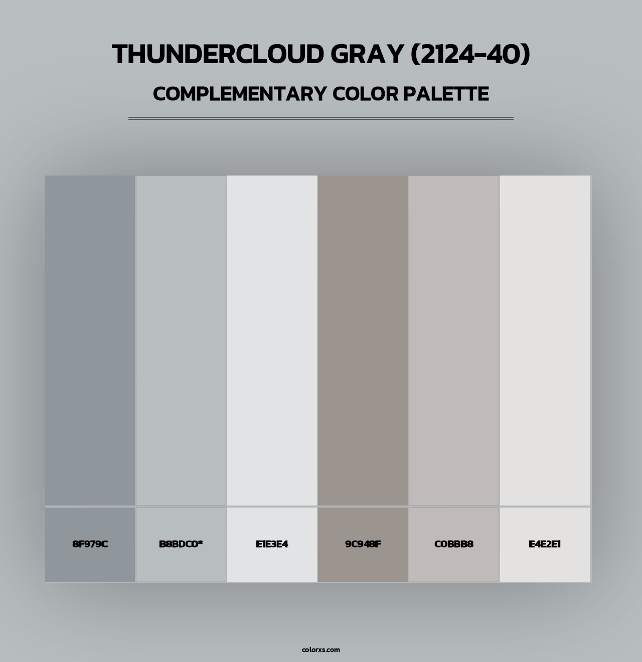Thundercloud Gray (2124-40) - Complementary Color Palette