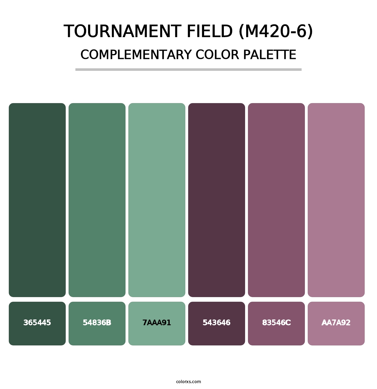 Tournament Field (M420-6) - Complementary Color Palette