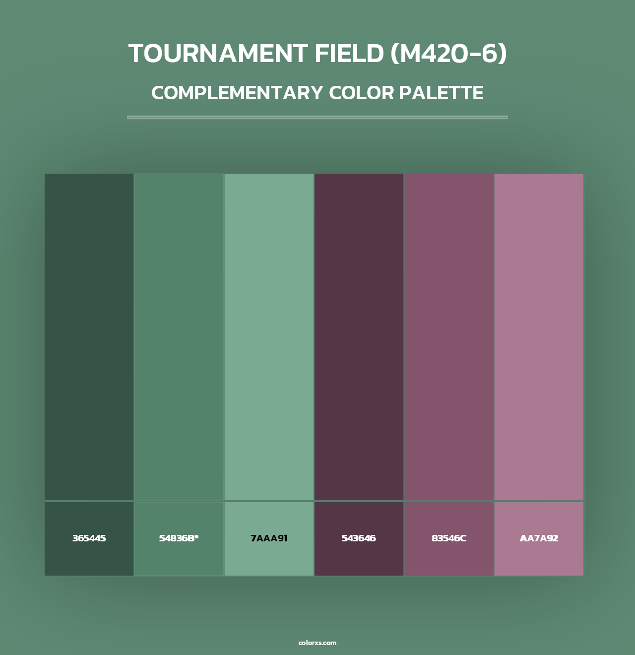 Tournament Field (M420-6) - Complementary Color Palette