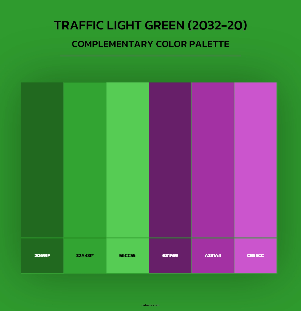 Traffic Light Green (2032-20) - Complementary Color Palette