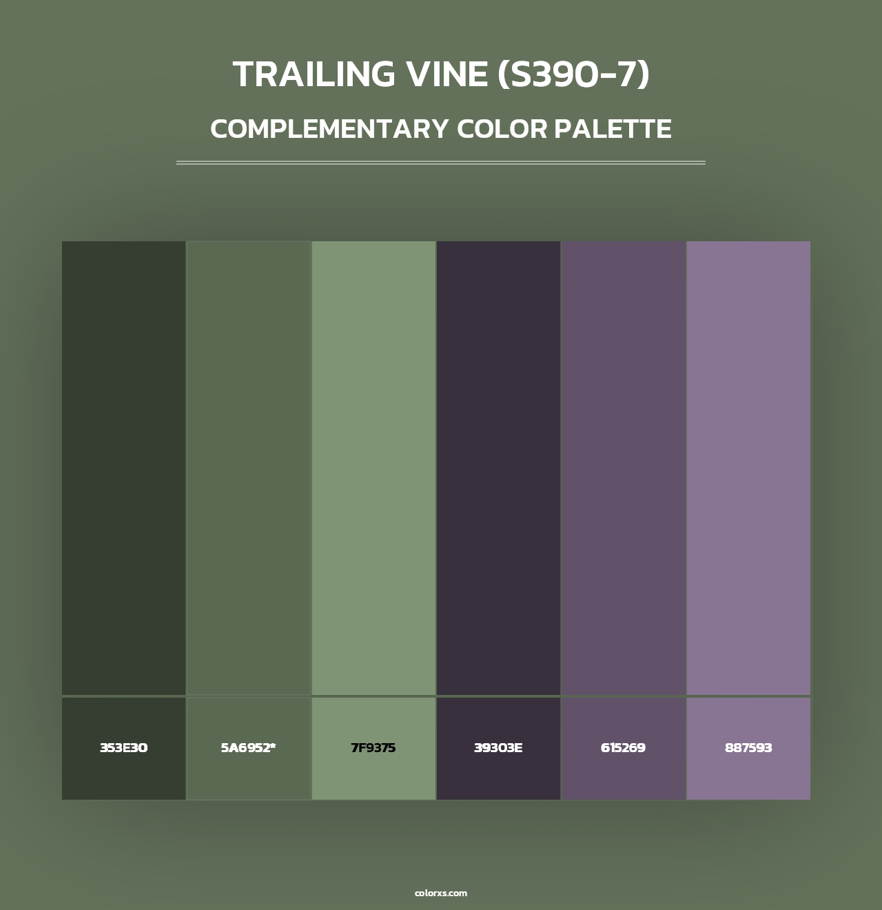 Trailing Vine (S390-7) - Complementary Color Palette