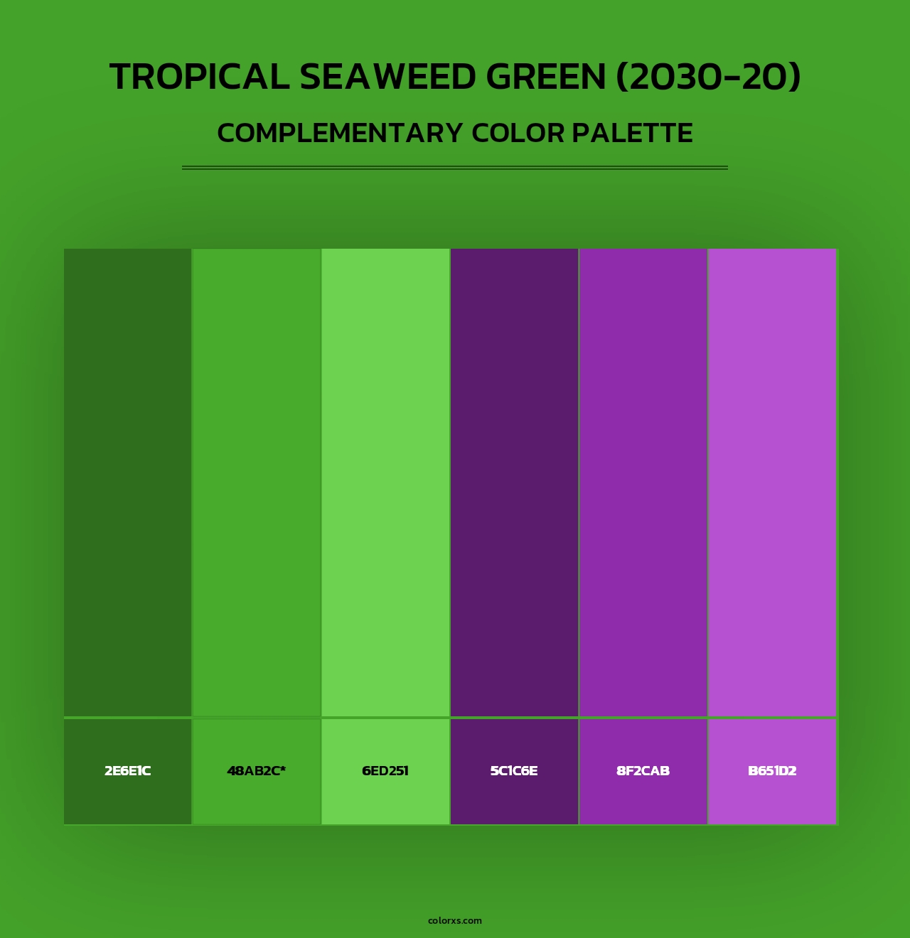 Tropical Seaweed Green (2030-20) - Complementary Color Palette