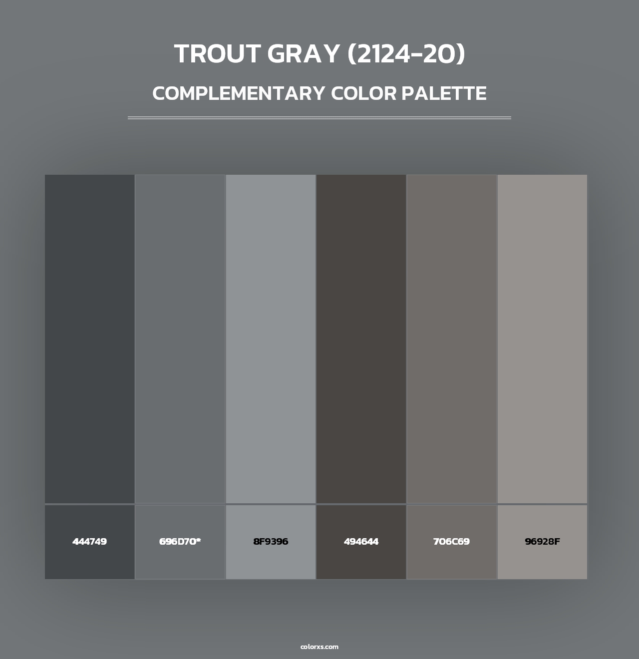 Trout Gray (2124-20) - Complementary Color Palette