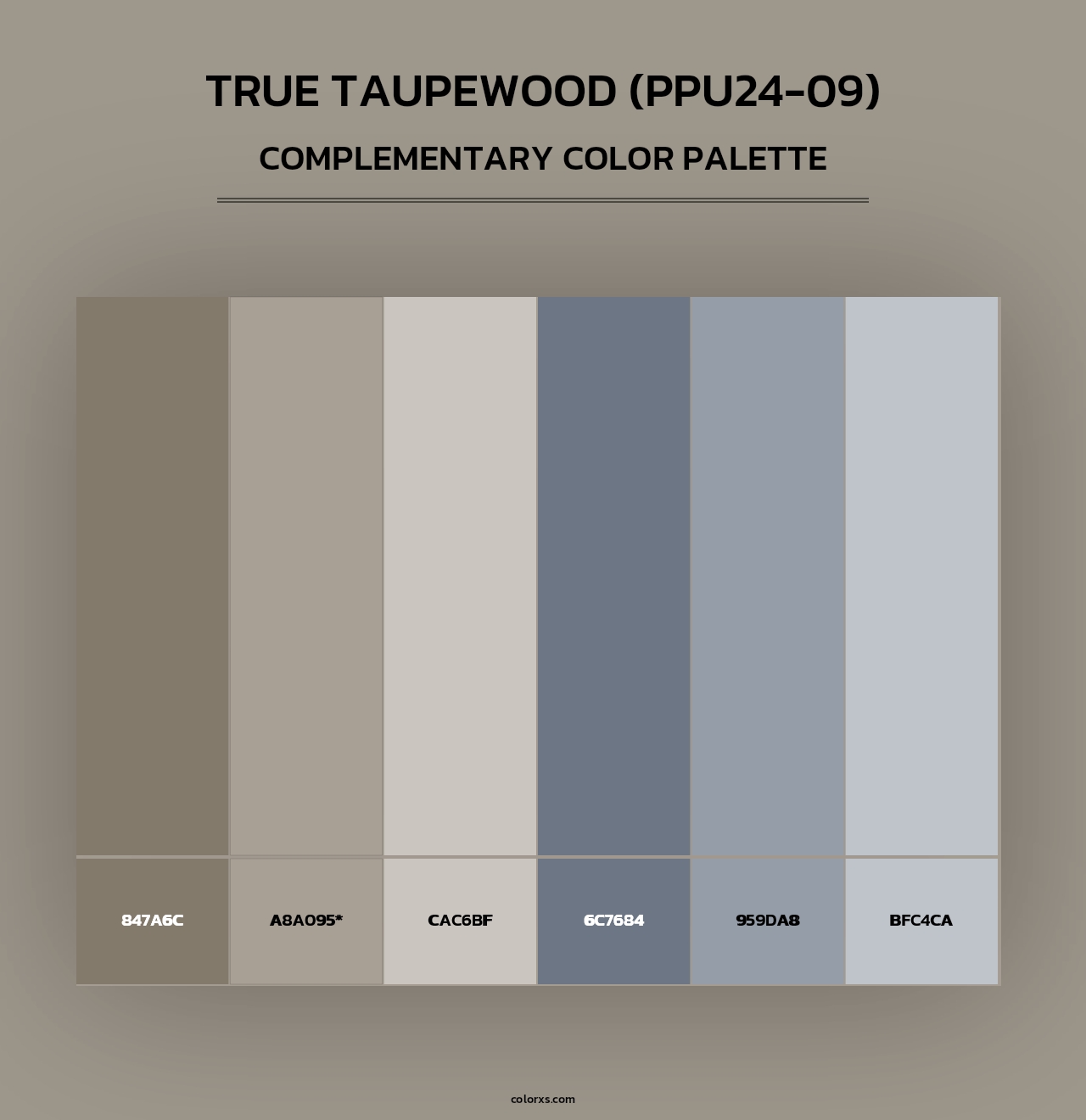 True Taupewood (PPU24-09) - Complementary Color Palette