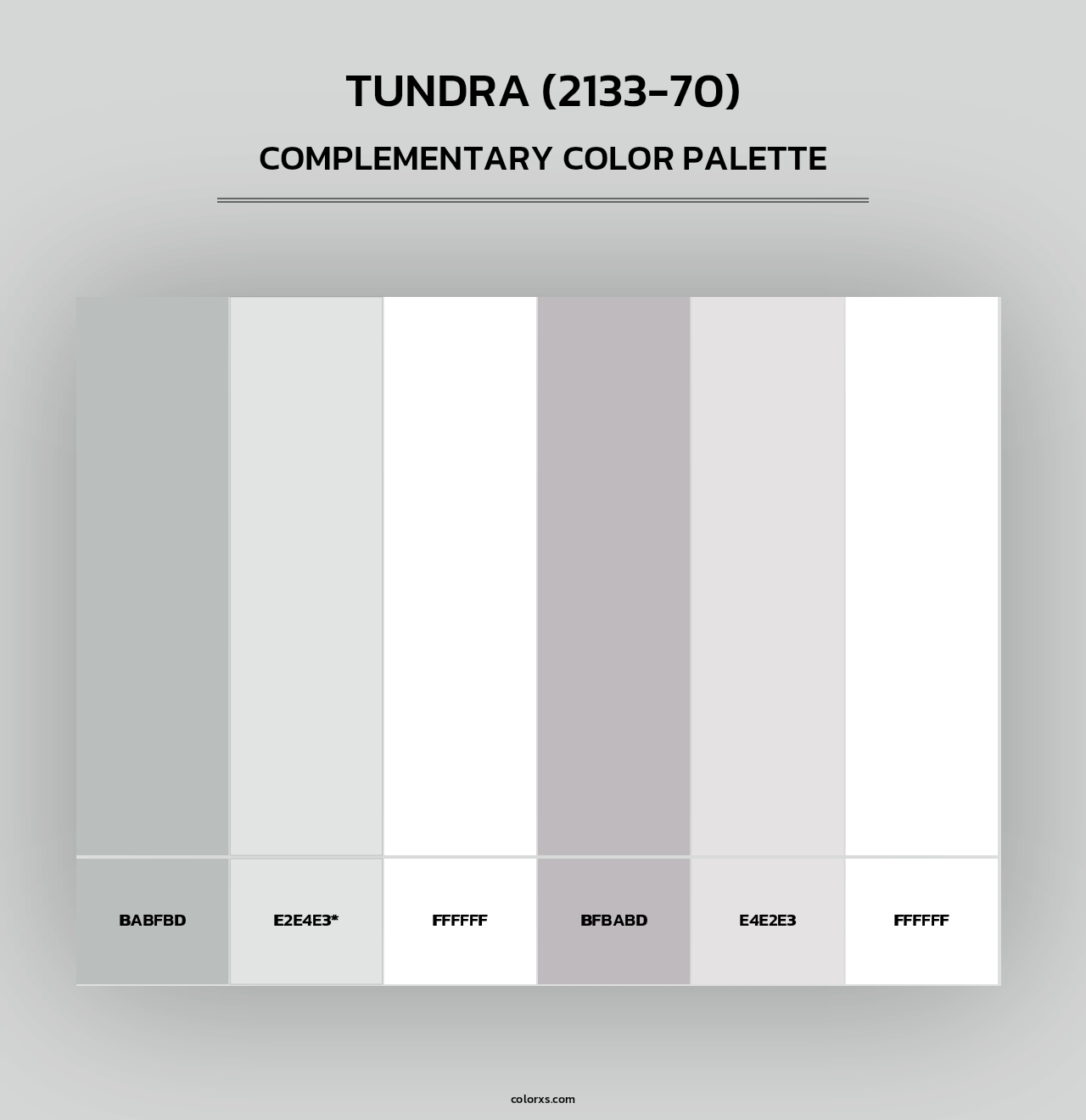 Tundra (2133-70) - Complementary Color Palette