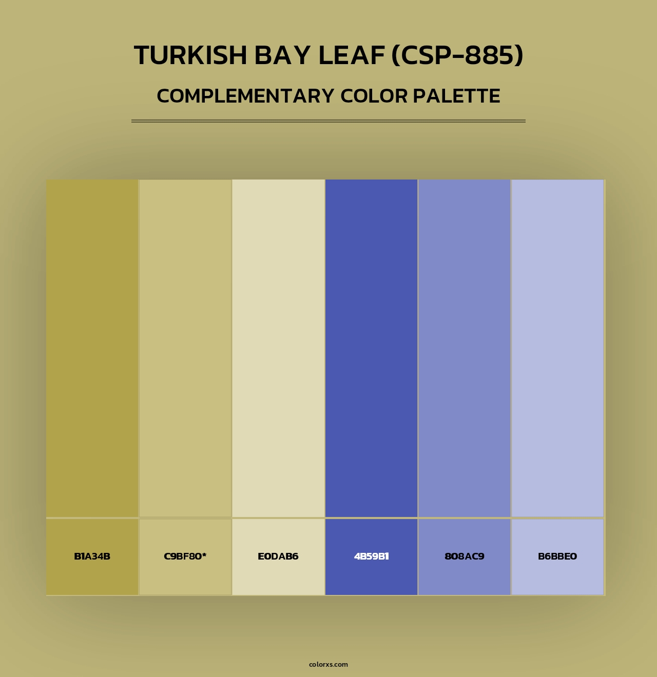 Turkish Bay Leaf (CSP-885) - Complementary Color Palette