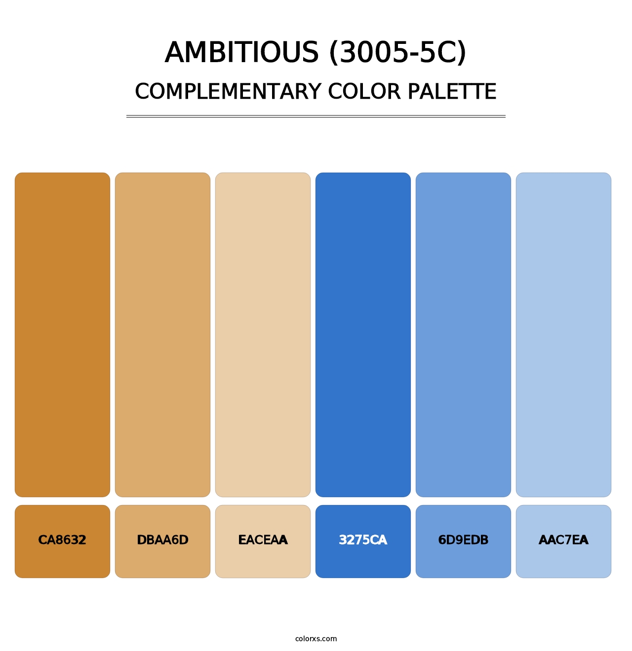 Ambitious (3005-5C) - Complementary Color Palette
