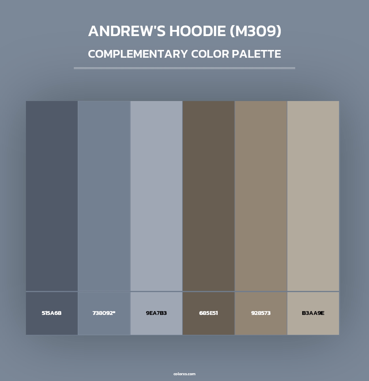 Andrew's Hoodie (M309) - Complementary Color Palette