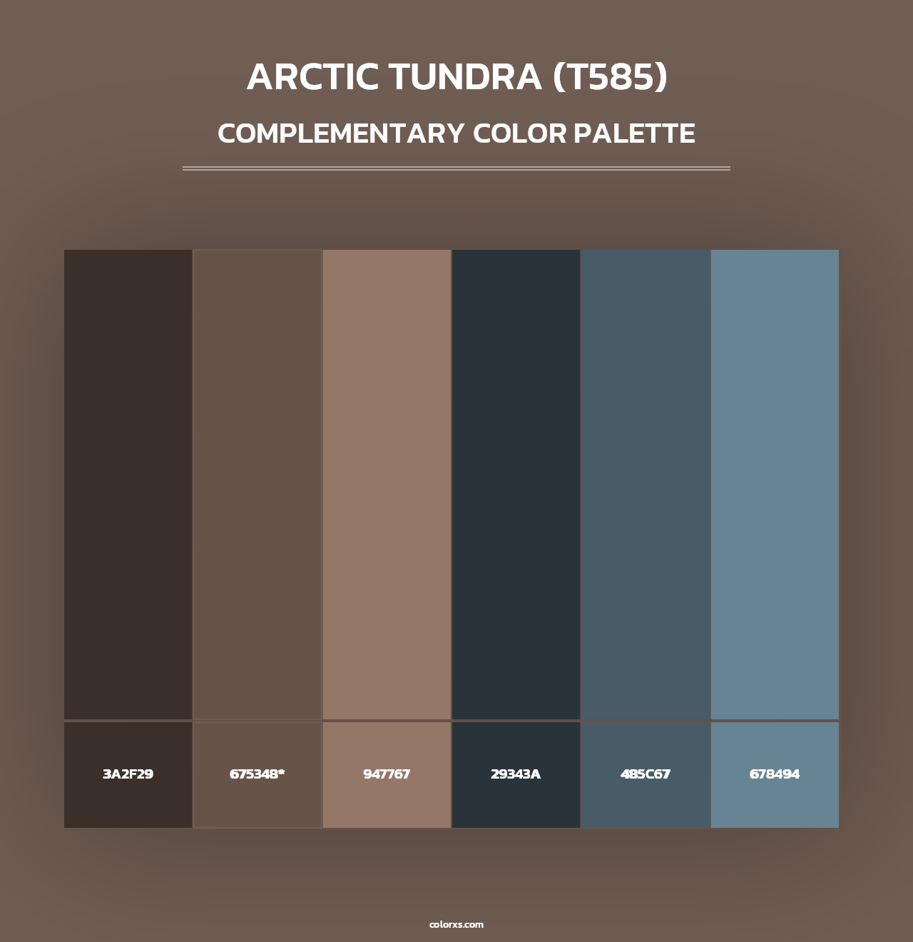 Arctic Tundra (T585) - Complementary Color Palette