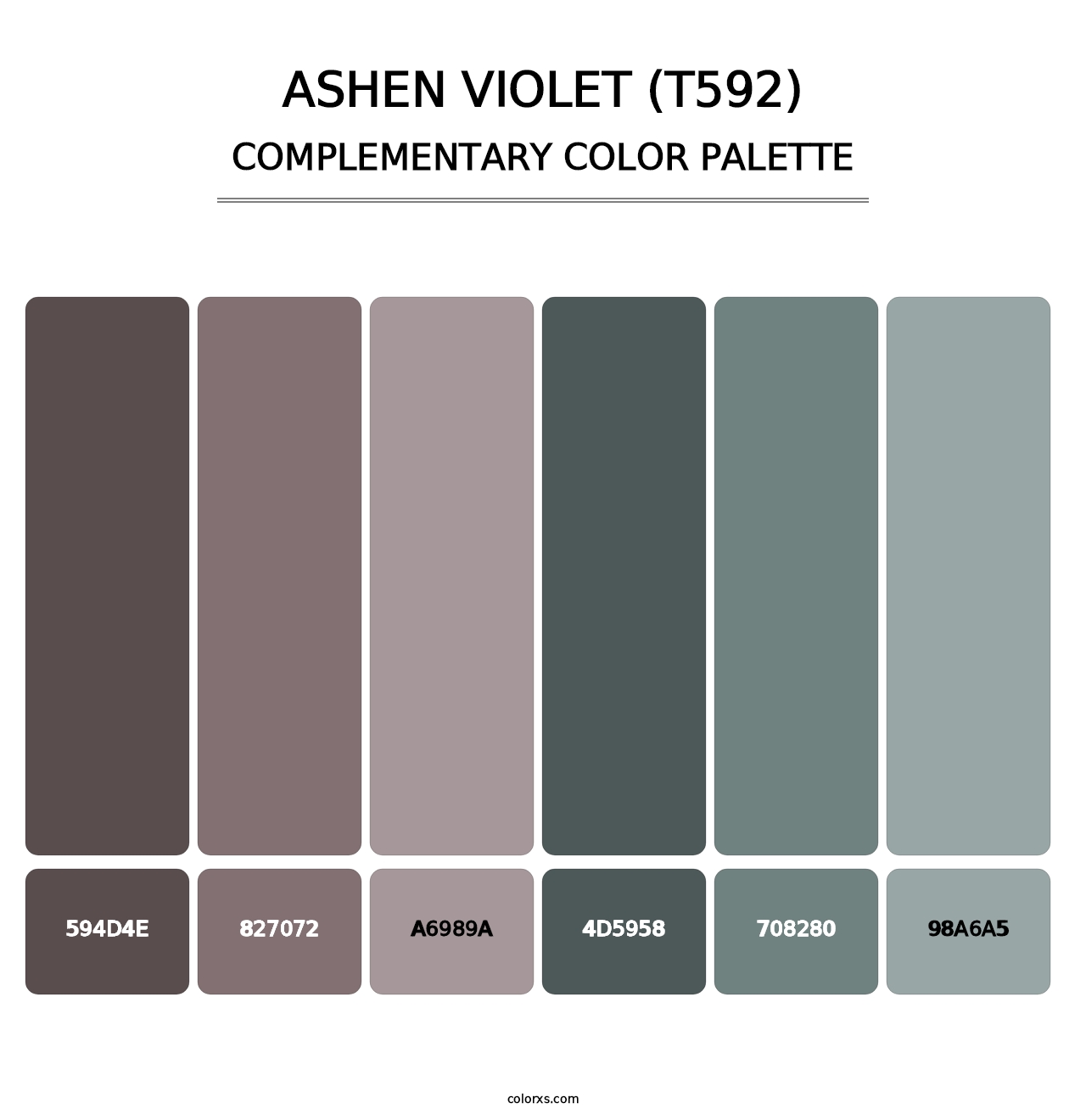 Ashen Violet (T592) - Complementary Color Palette