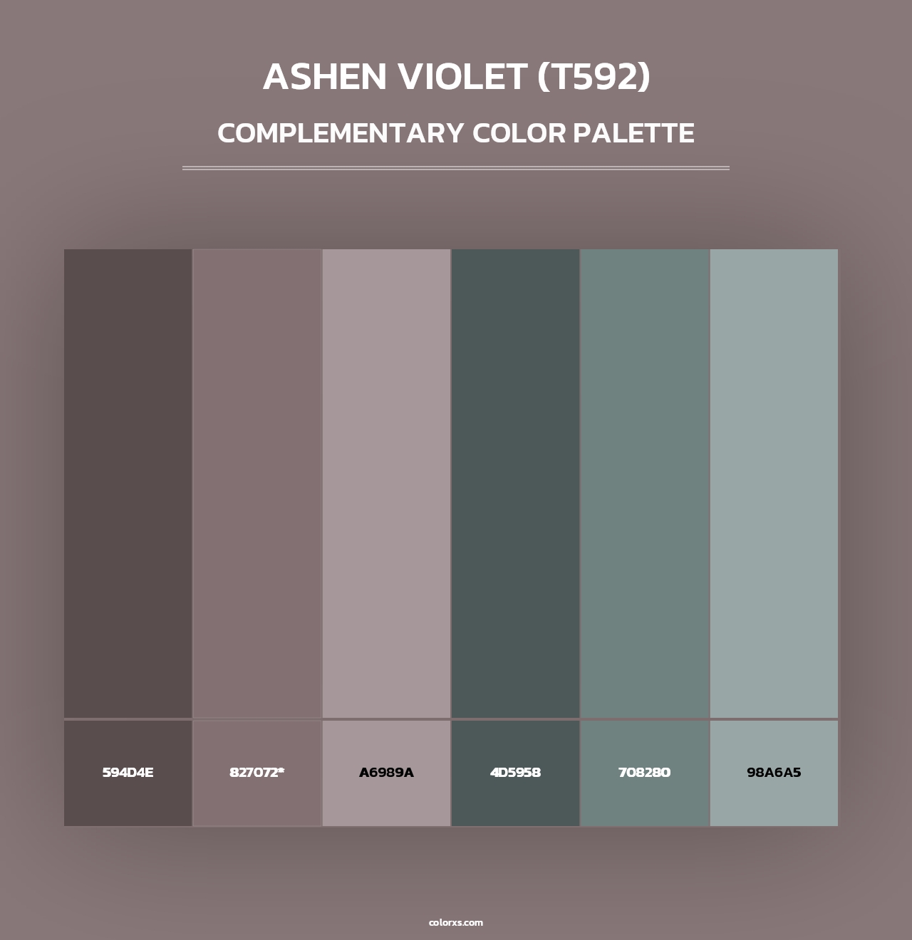 Ashen Violet (T592) - Complementary Color Palette
