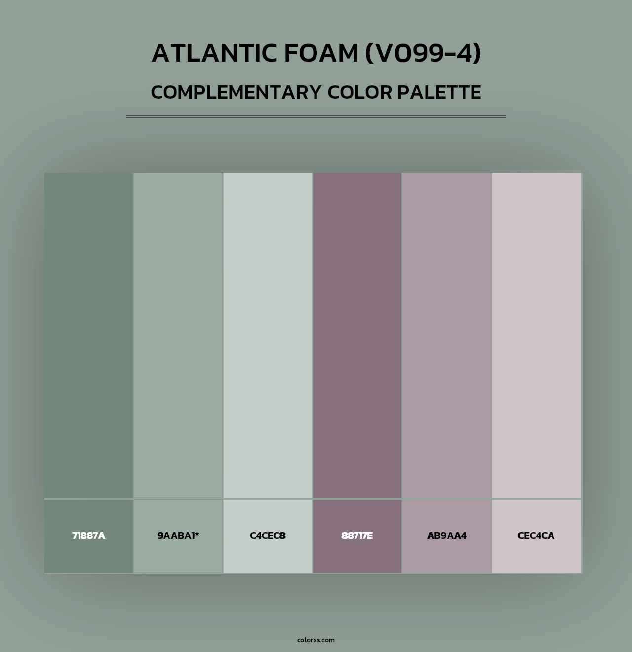 Atlantic Foam (V099-4) - Complementary Color Palette