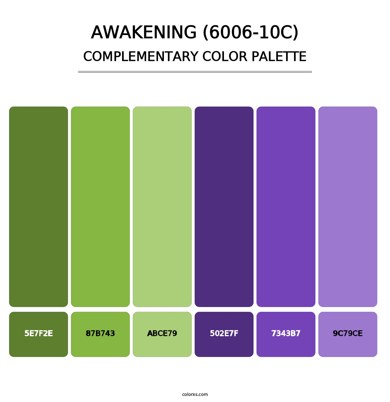 Awakening (6006-10C) - Complementary Color Palette