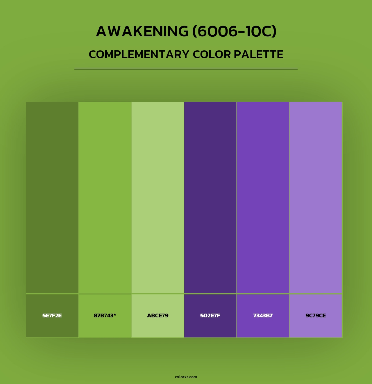 Awakening (6006-10C) - Complementary Color Palette