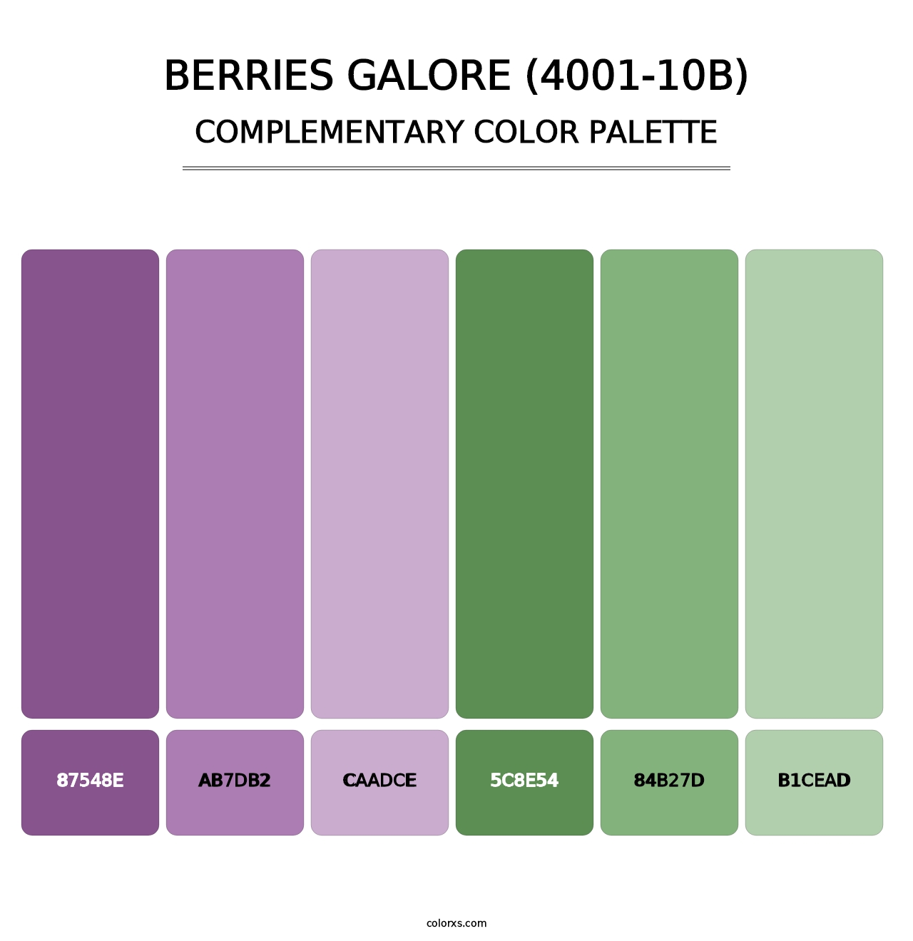 Berries Galore (4001-10B) - Complementary Color Palette