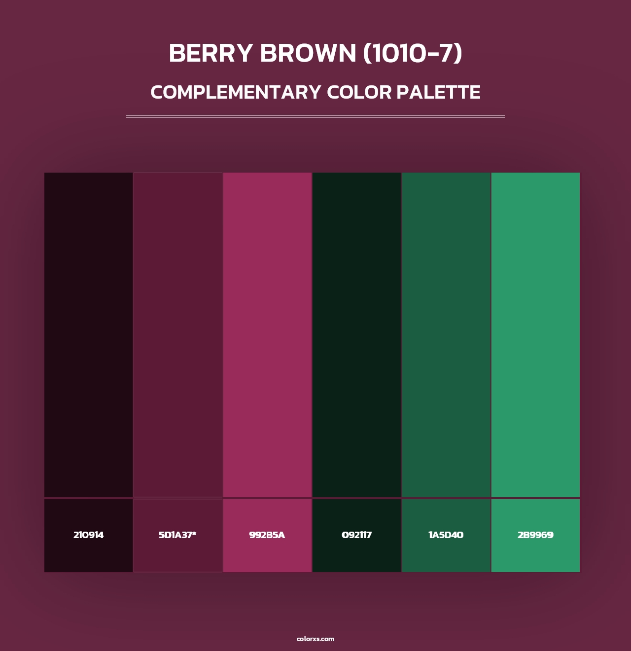 Berry Brown (1010-7) - Complementary Color Palette