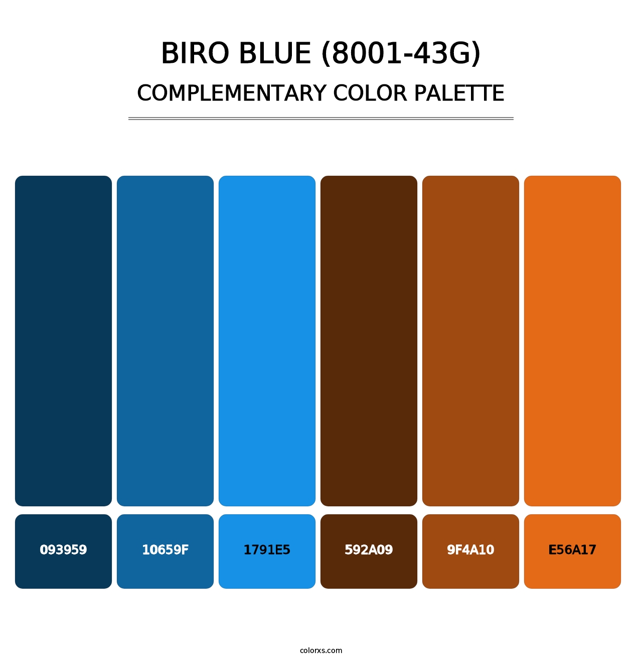 Biro Blue (8001-43G) - Complementary Color Palette