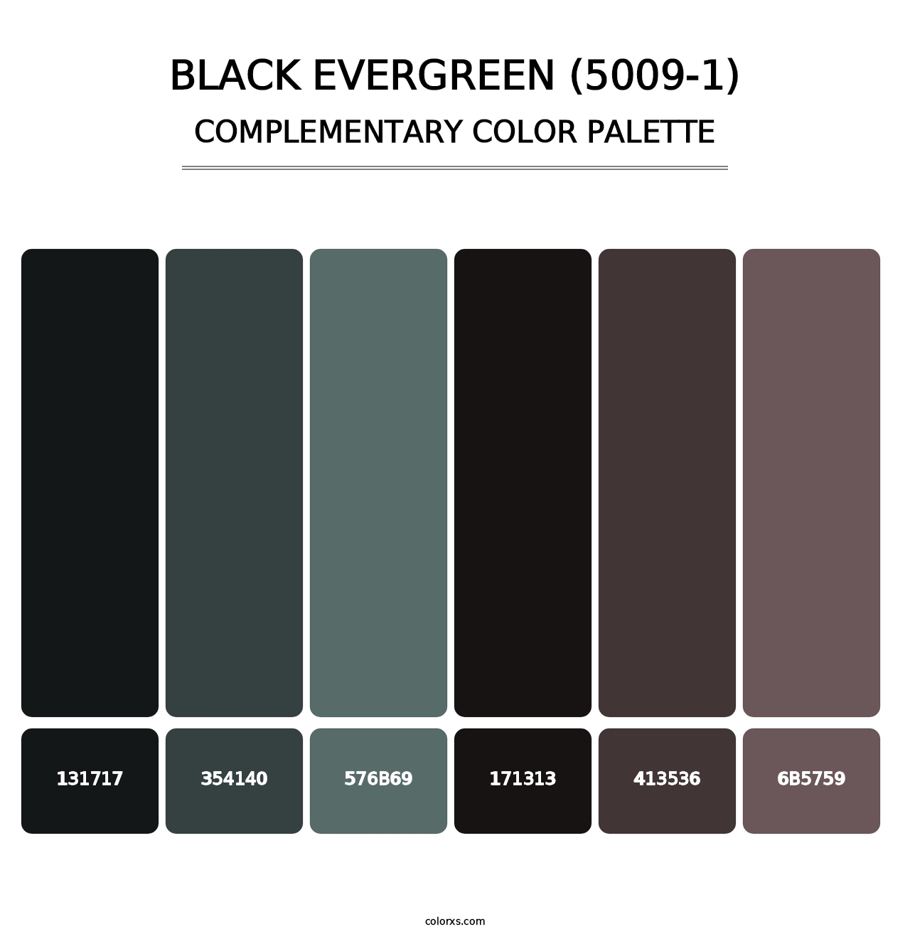 Black Evergreen (5009-1) - Complementary Color Palette