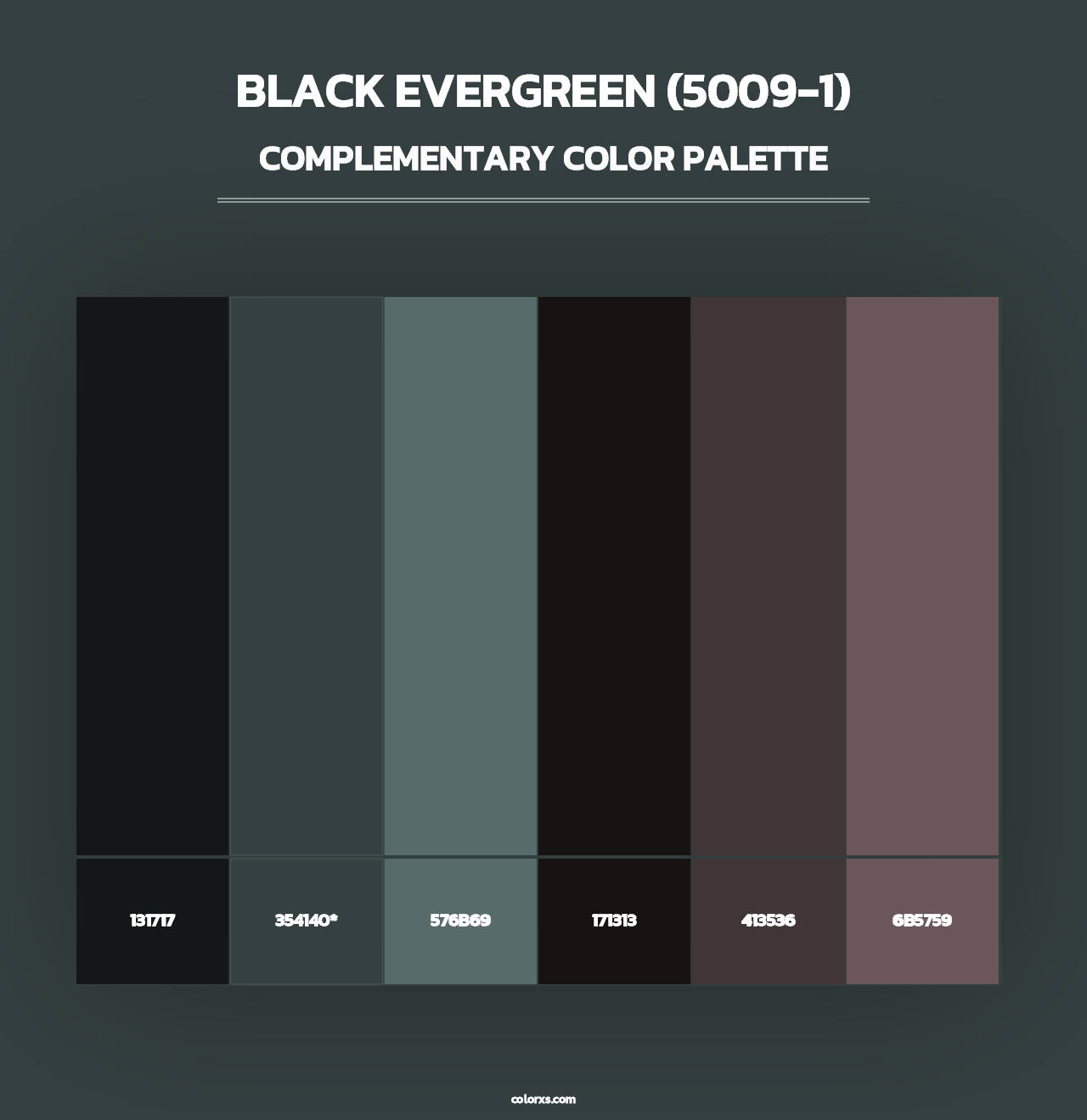 Black Evergreen (5009-1) - Complementary Color Palette