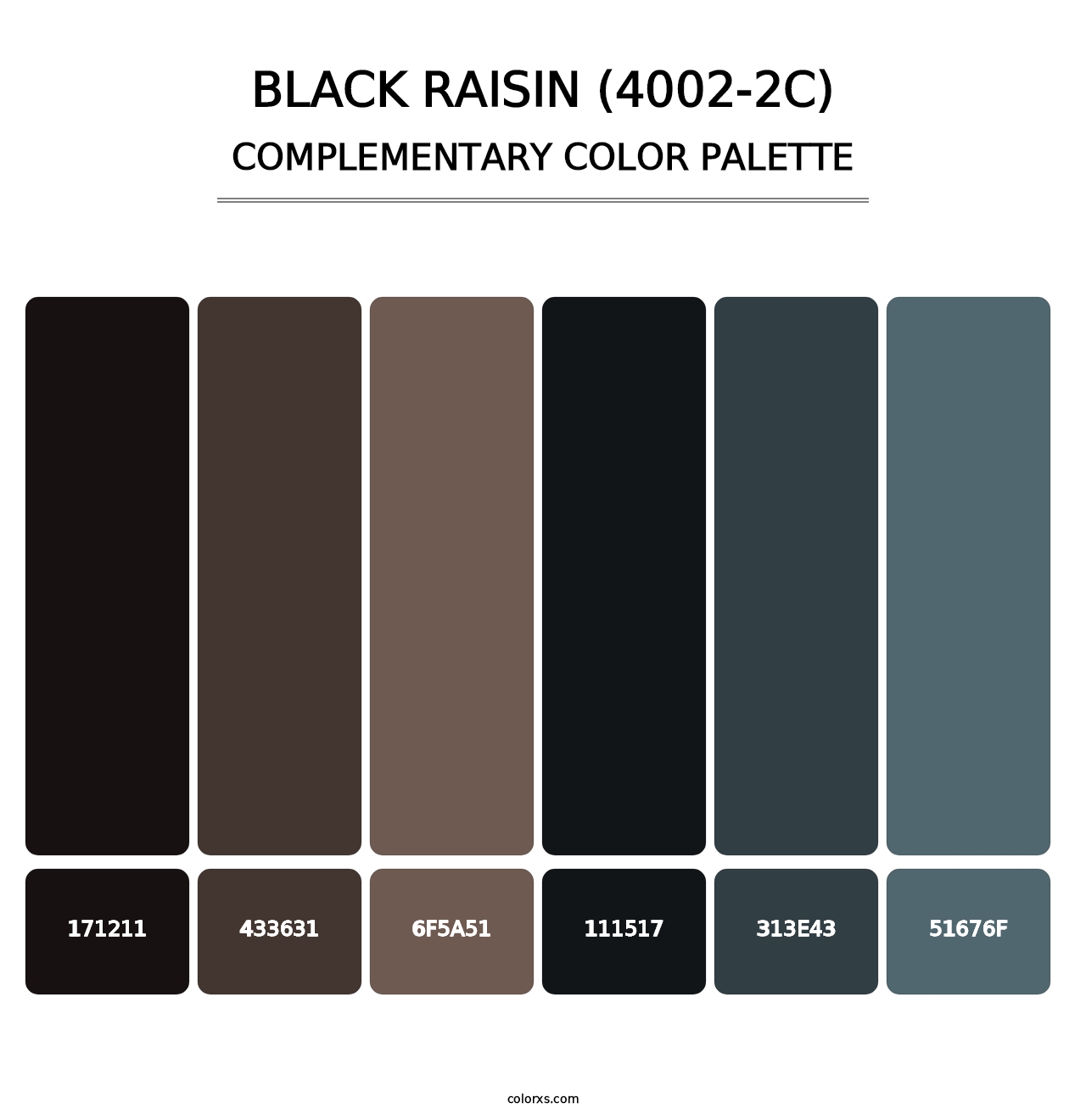 Black Raisin (4002-2C) - Complementary Color Palette