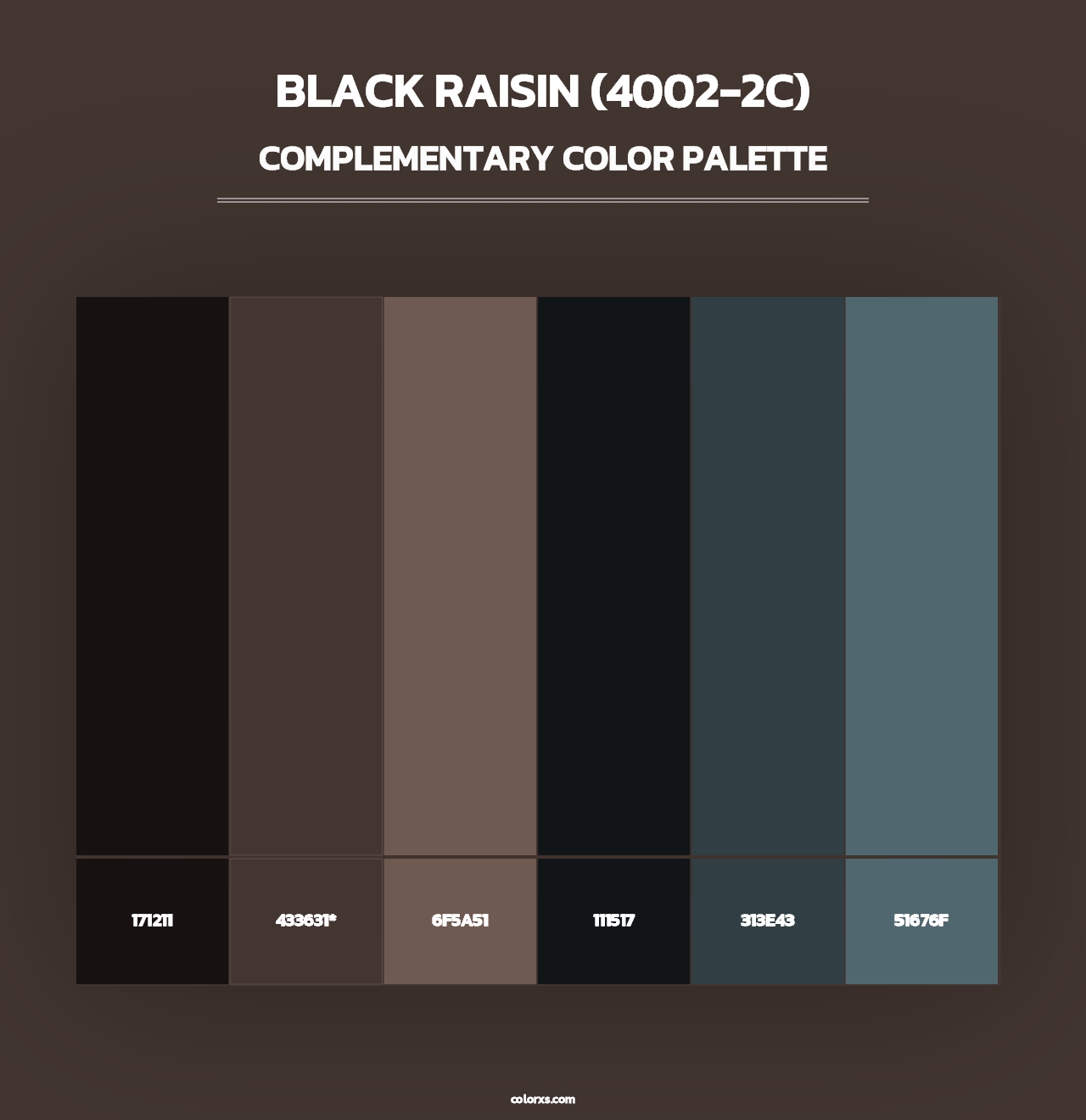 Black Raisin (4002-2C) - Complementary Color Palette