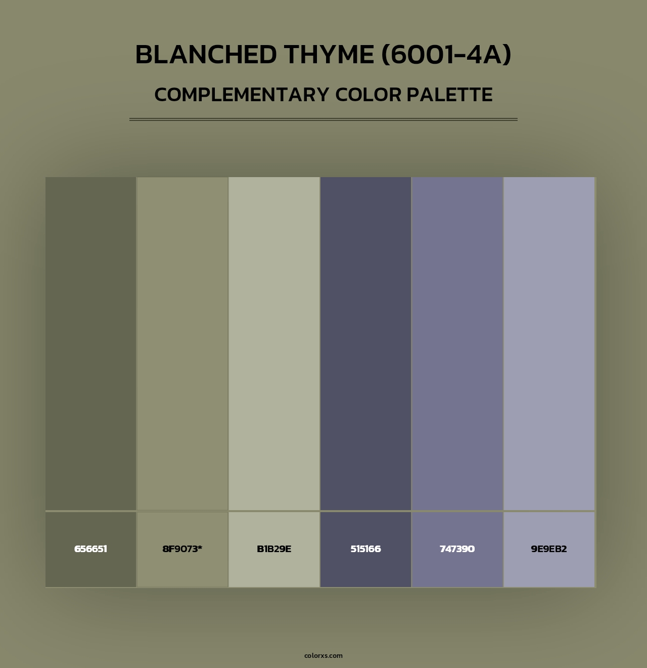 Blanched Thyme (6001-4A) - Complementary Color Palette