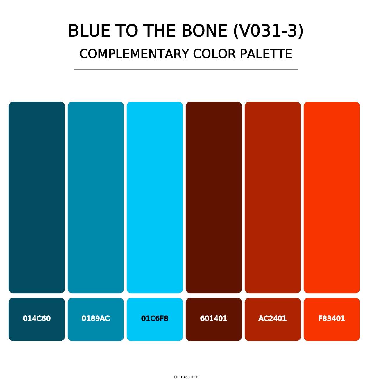 Blue to the Bone (V031-3) - Complementary Color Palette