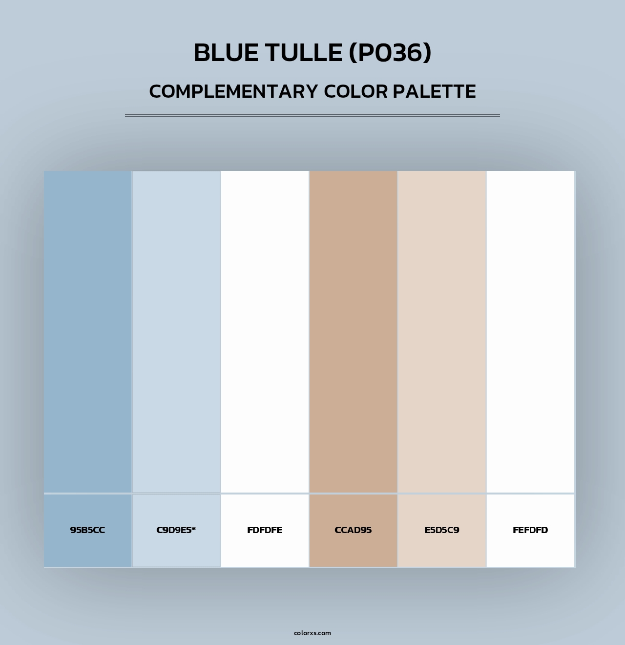 Blue Tulle (P036) - Complementary Color Palette