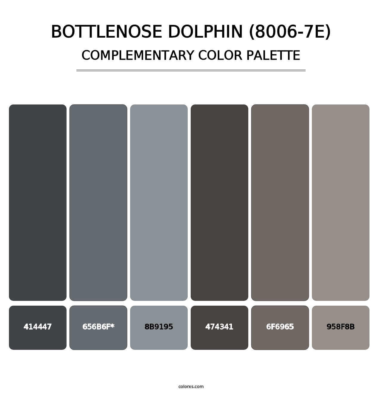 Bottlenose Dolphin (8006-7E) - Complementary Color Palette