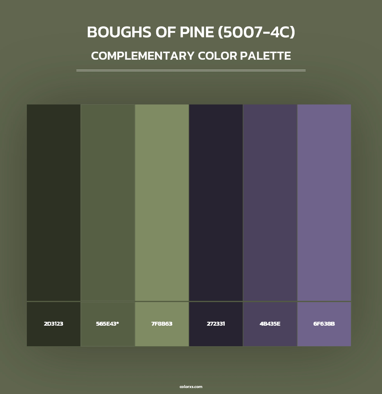 Boughs of Pine (5007-4C) - Complementary Color Palette