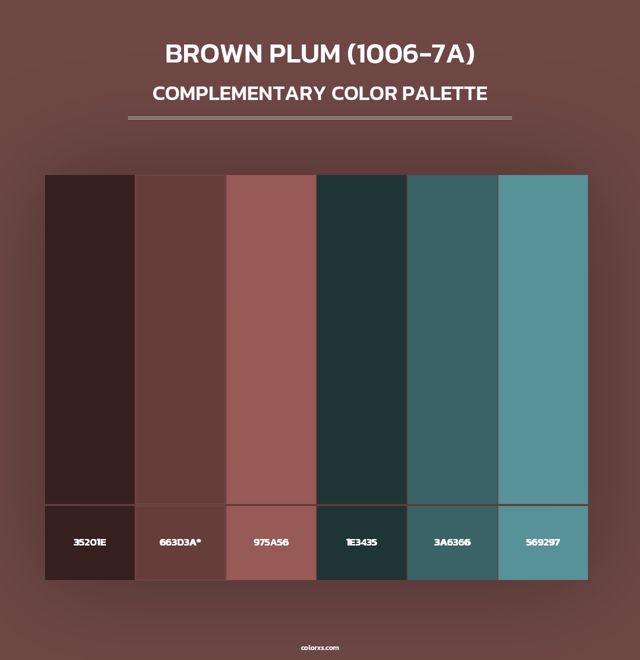 Brown Plum (1006-7A) - Complementary Color Palette