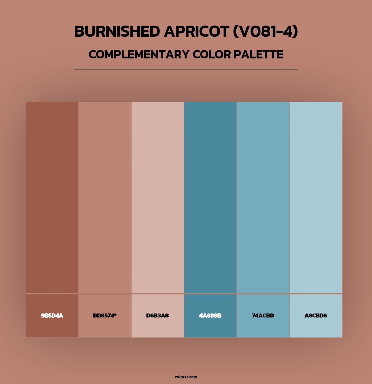 Burnished Apricot (V081-4) - Complementary Color Palette