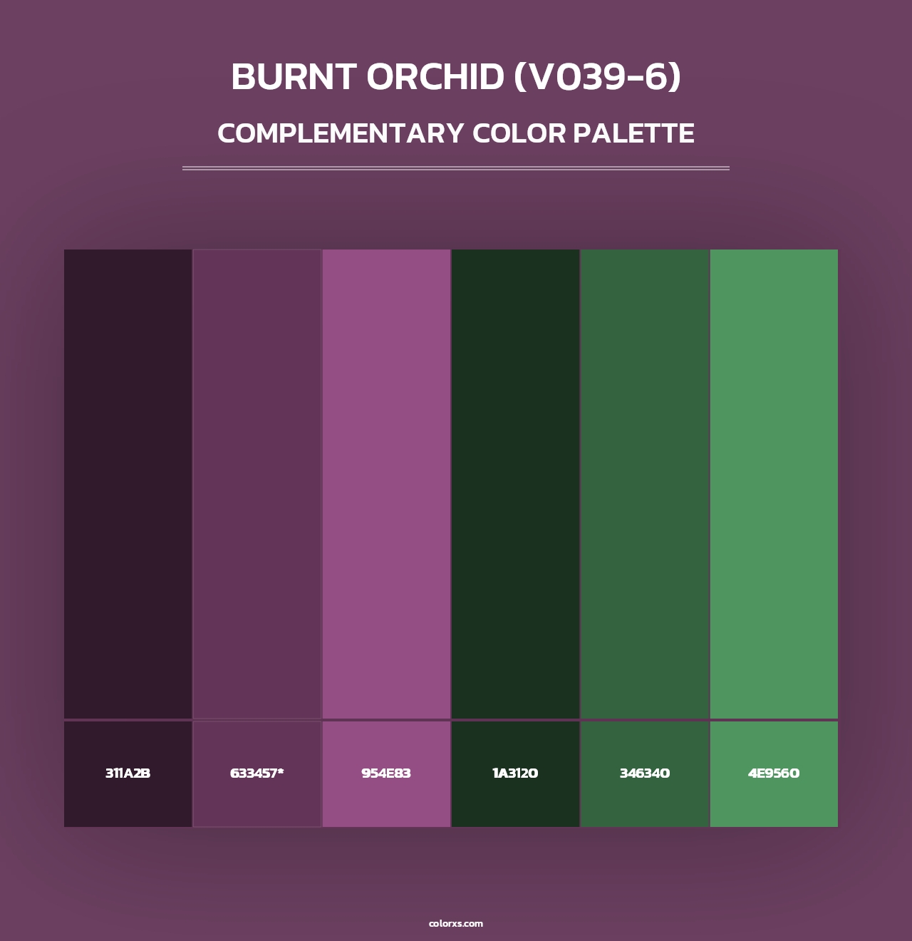 Burnt Orchid (V039-6) - Complementary Color Palette