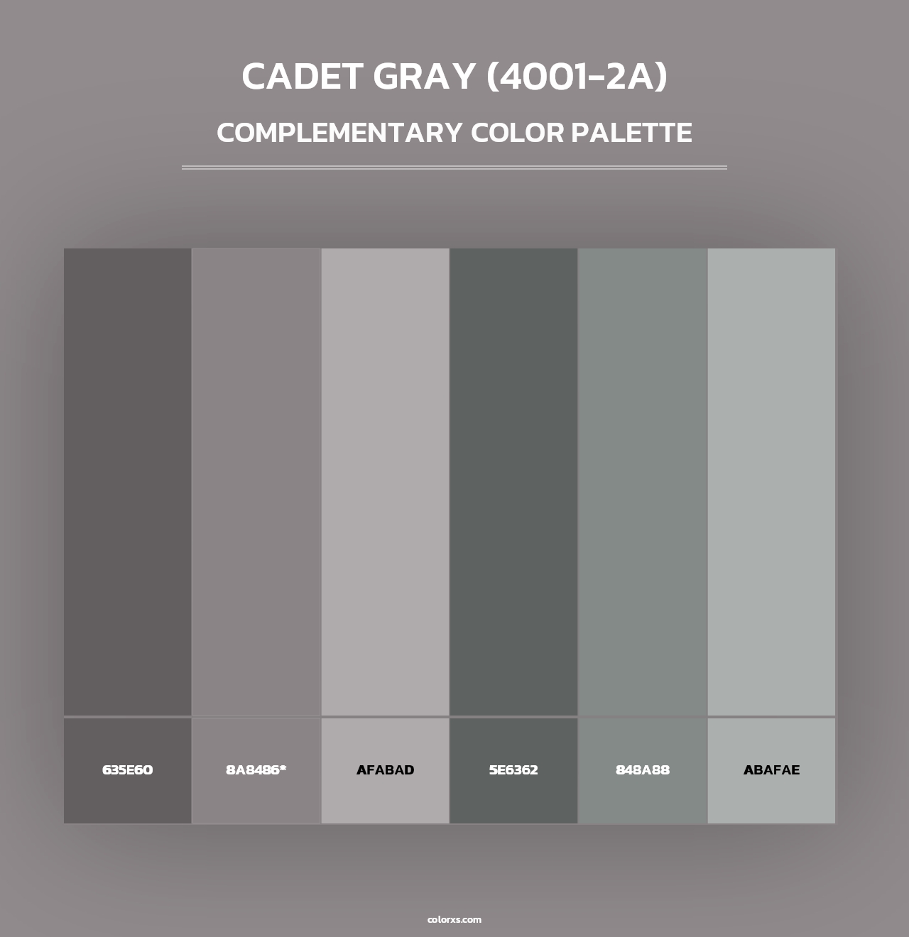 Cadet Gray (4001-2A) - Complementary Color Palette