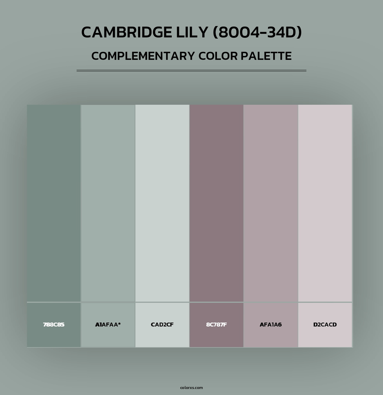Cambridge Lily (8004-34D) - Complementary Color Palette