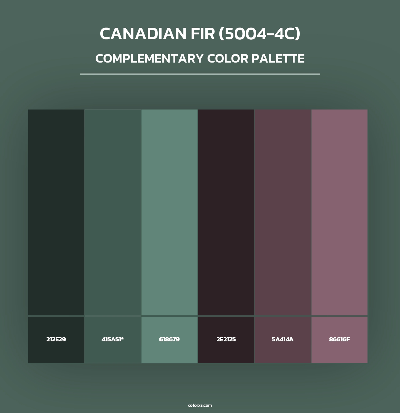 Canadian Fir (5004-4C) - Complementary Color Palette