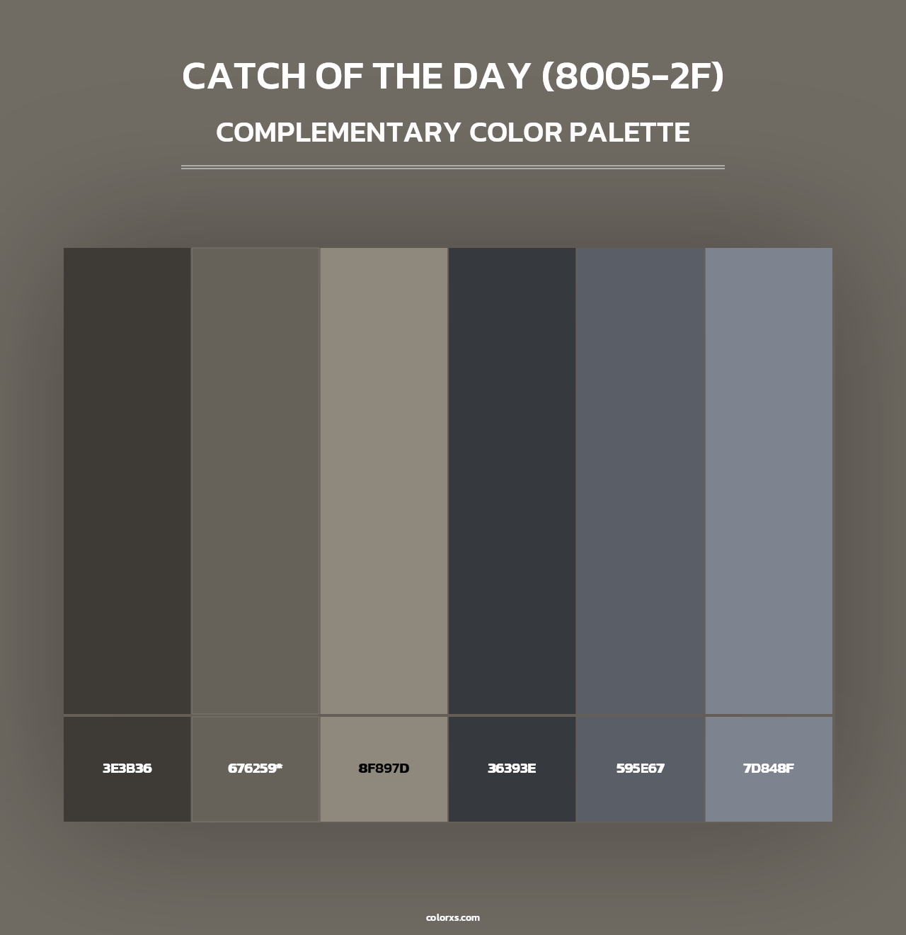 Catch of the Day (8005-2F) - Complementary Color Palette