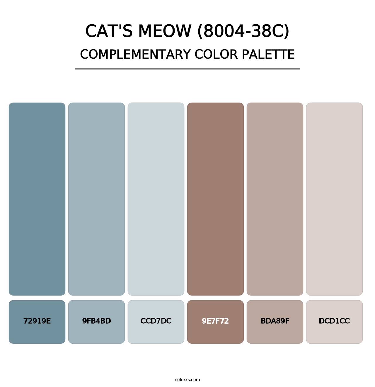 Cat's Meow (8004-38C) - Complementary Color Palette