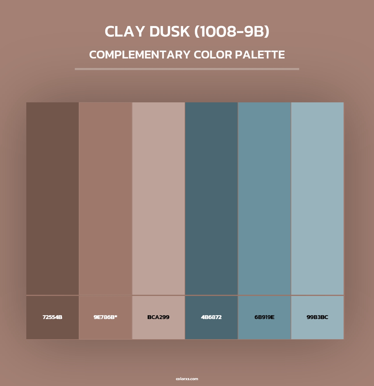 Clay Dusk (1008-9B) - Complementary Color Palette
