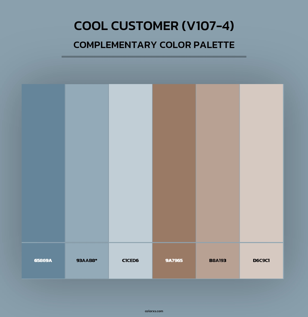 Cool Customer (V107-4) - Complementary Color Palette