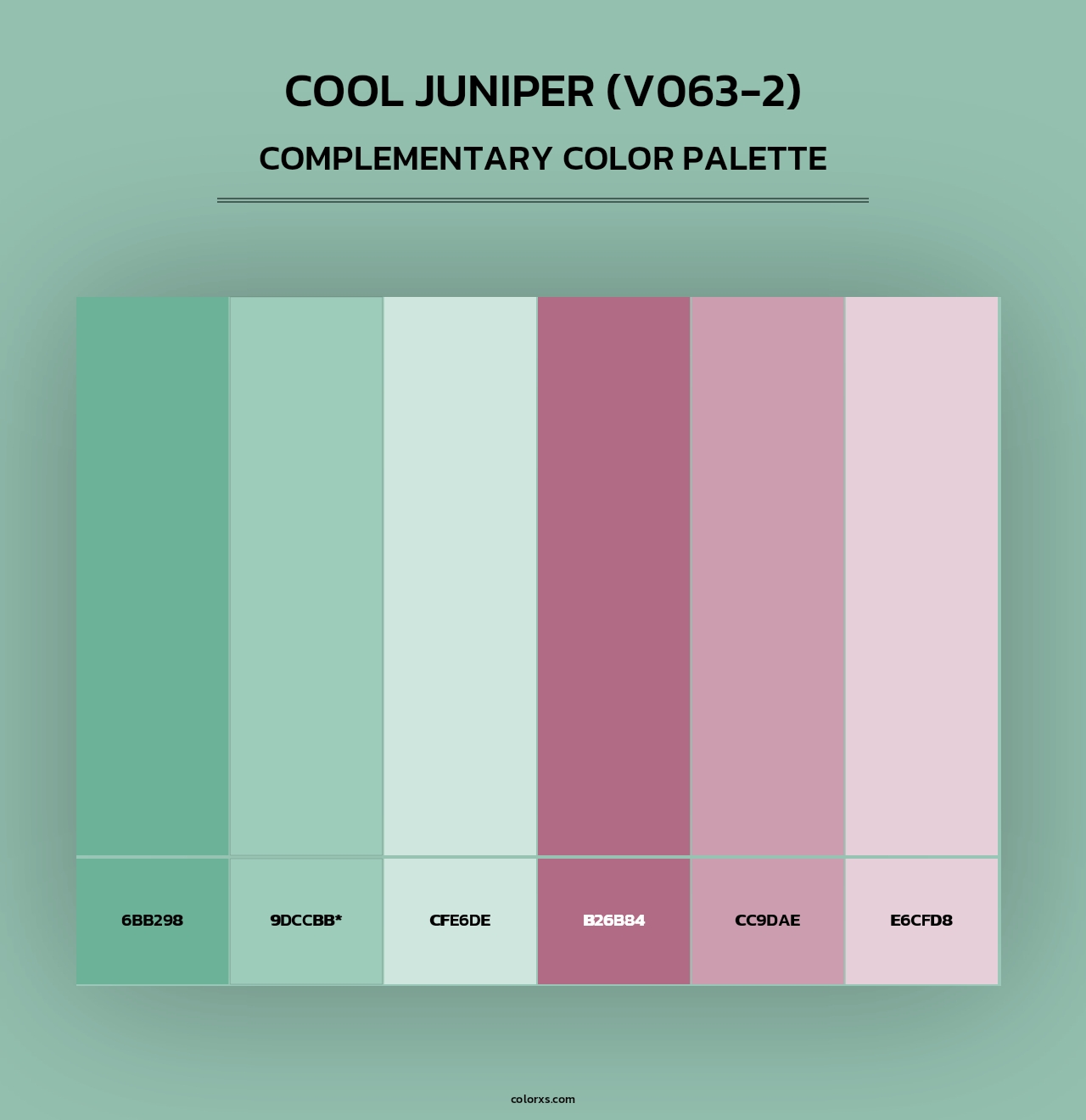 Cool Juniper (V063-2) - Complementary Color Palette
