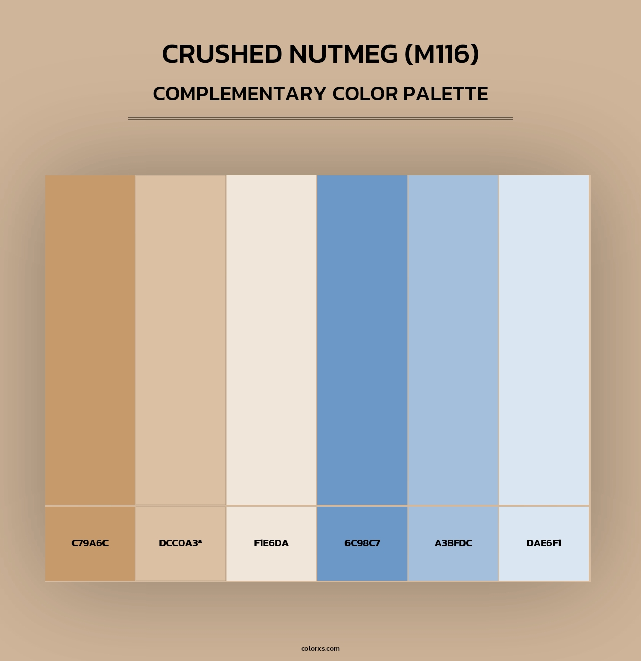 Crushed Nutmeg (M116) - Complementary Color Palette