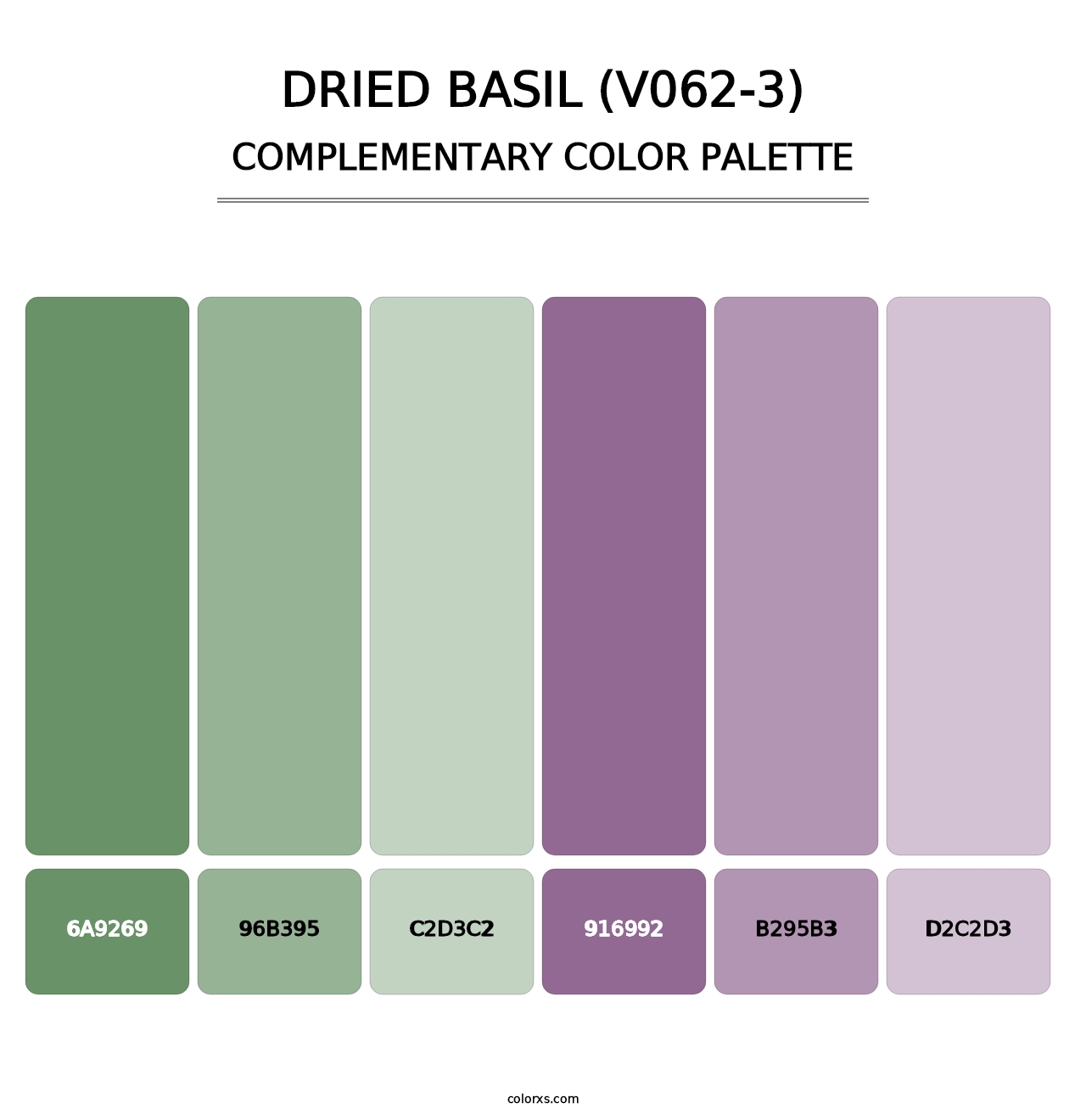 Dried Basil (V062-3) - Complementary Color Palette