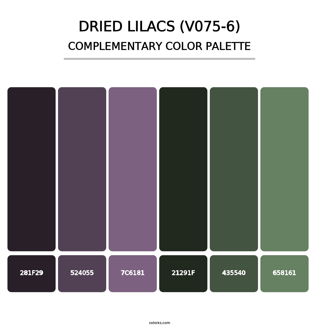 Dried Lilacs (V075-6) - Complementary Color Palette