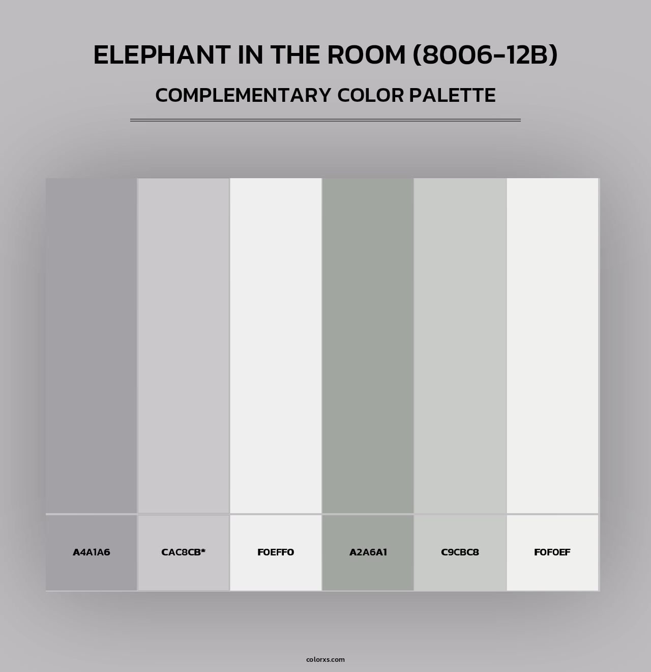 Elephant in the Room (8006-12B) - Complementary Color Palette