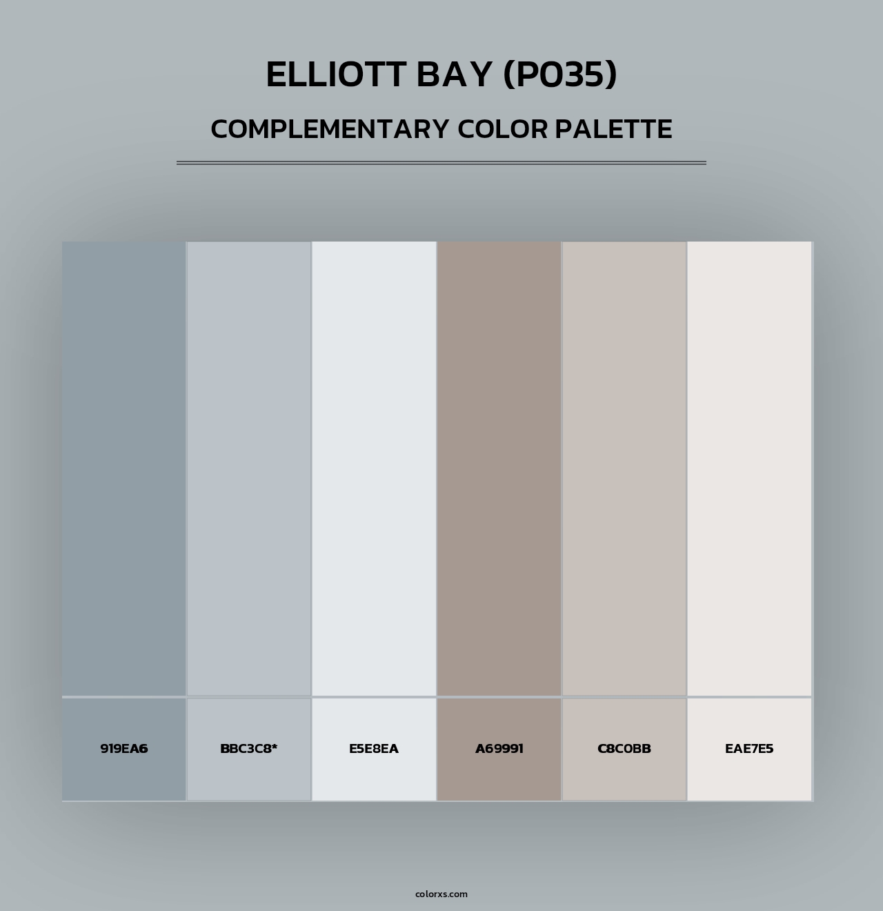 Elliott Bay (P035) - Complementary Color Palette