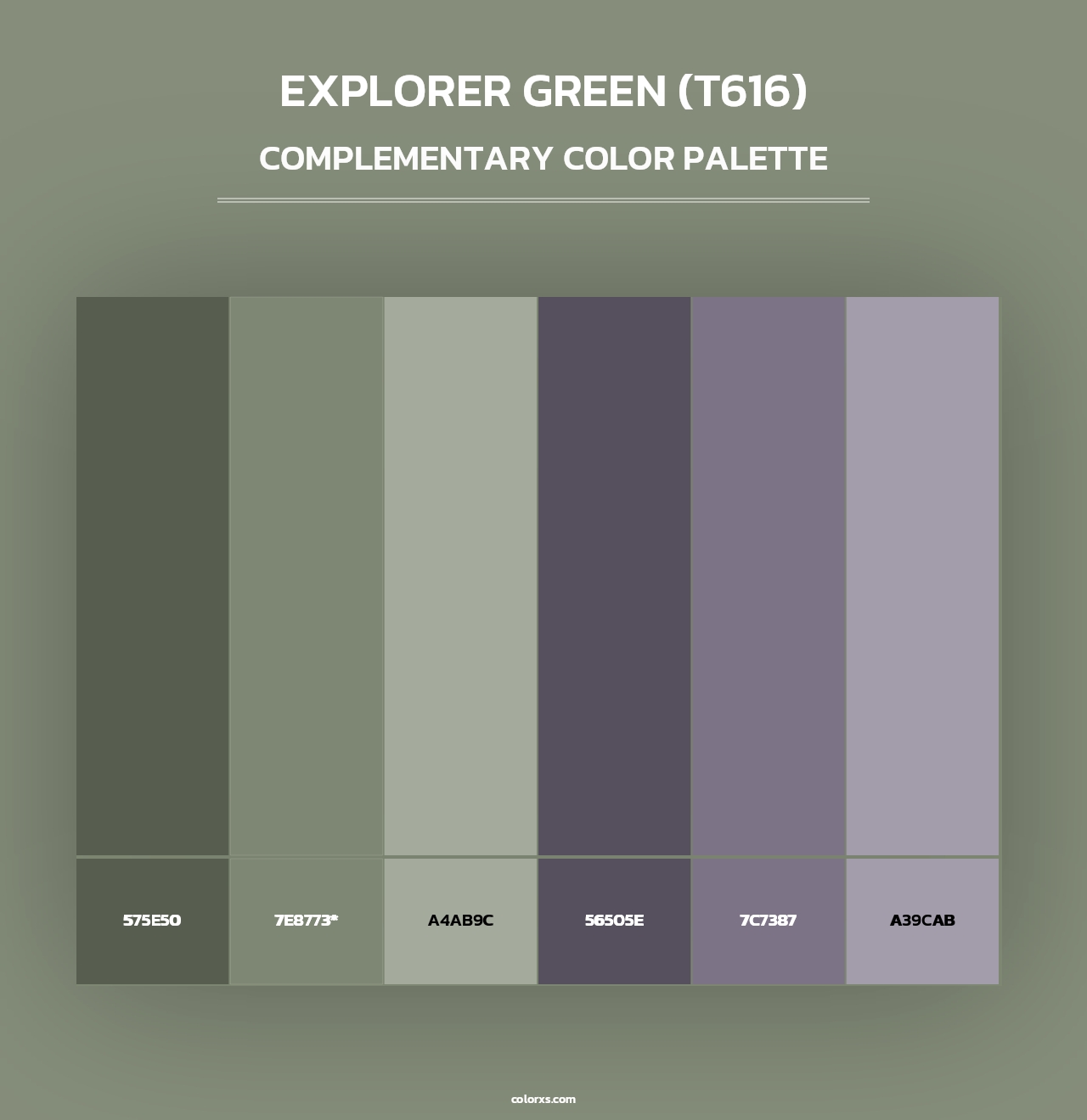 Explorer Green (T616) - Complementary Color Palette