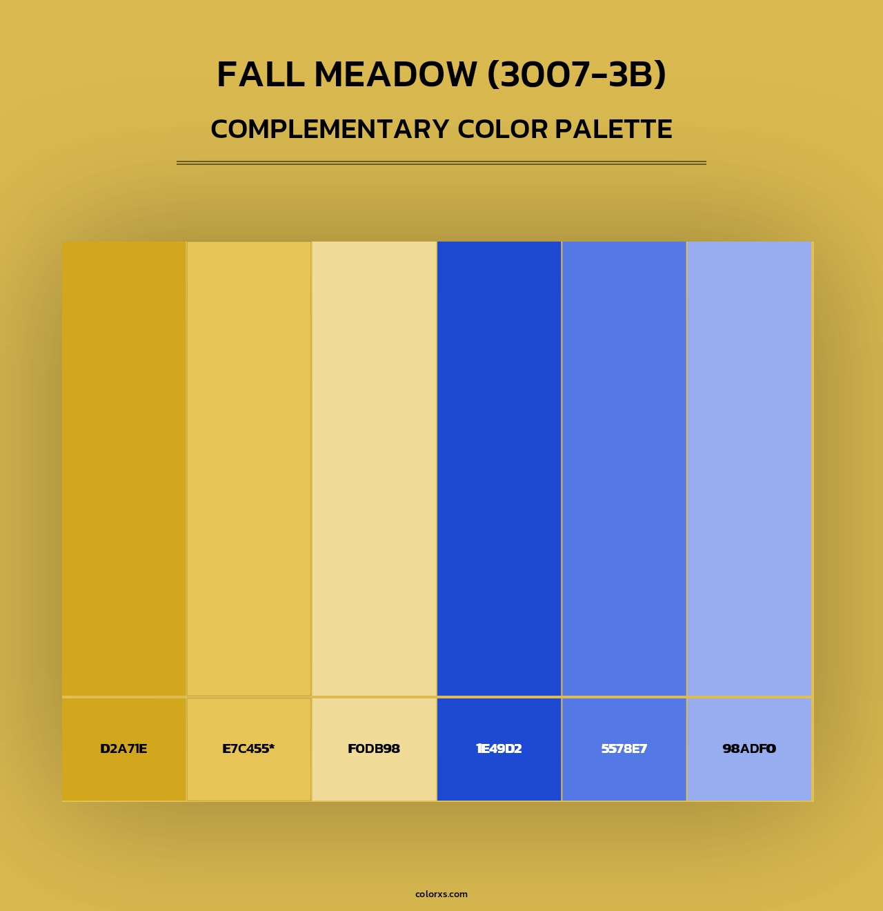 Fall Meadow (3007-3B) - Complementary Color Palette