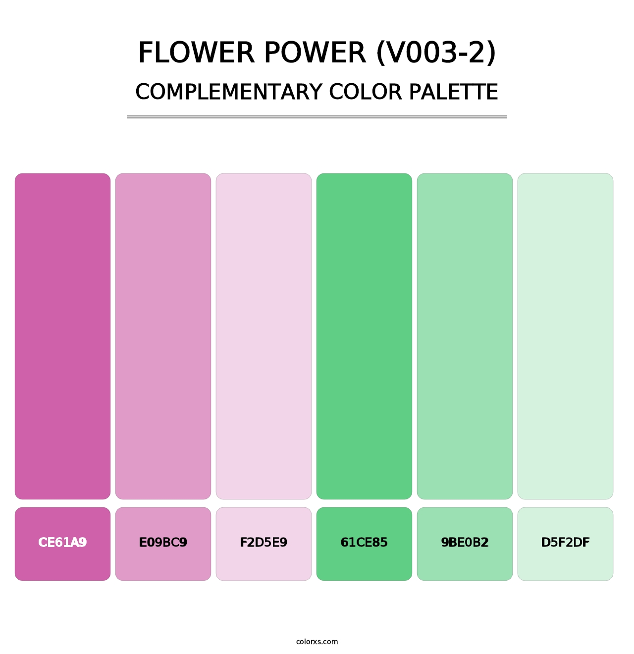 Flower Power (V003-2) - Complementary Color Palette